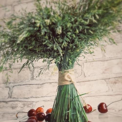 Photo #4962153