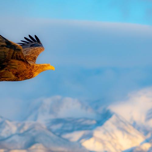 Photo #4962169