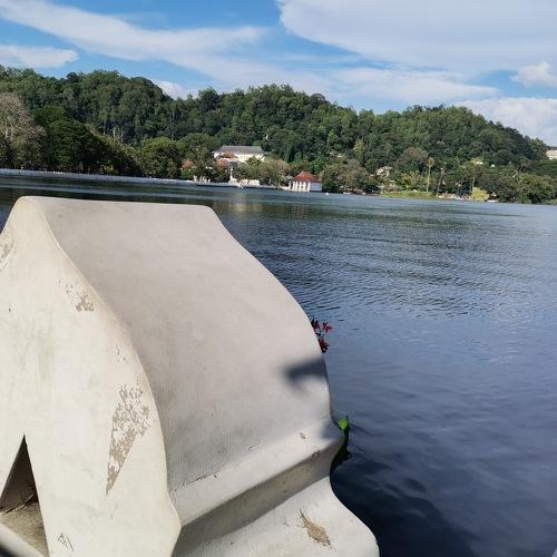 Photo #4962414