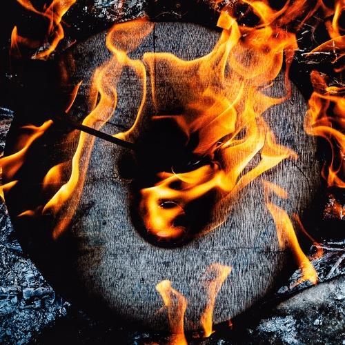 Photo #4962545
