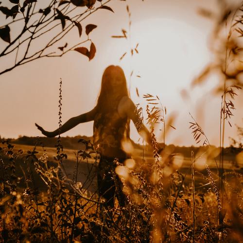 Photo #4962553