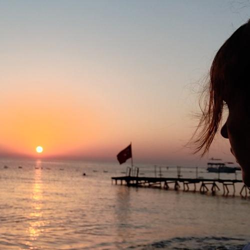 Photo #4962834