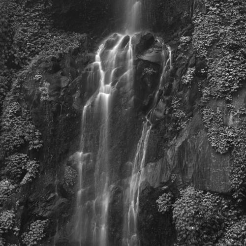 Photo #4963044