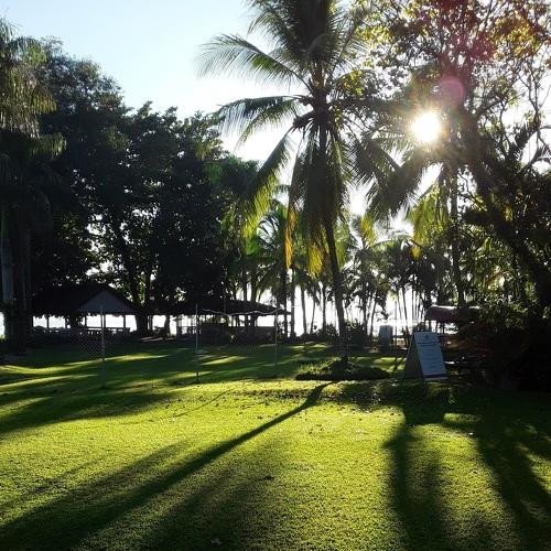 Photo #4963306