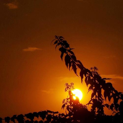 Photo #4963482
