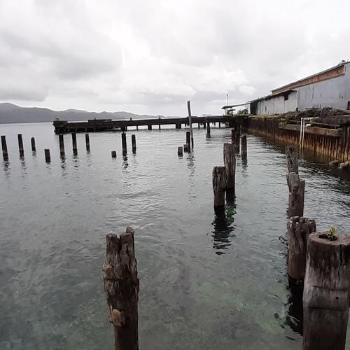 Photo #4963711