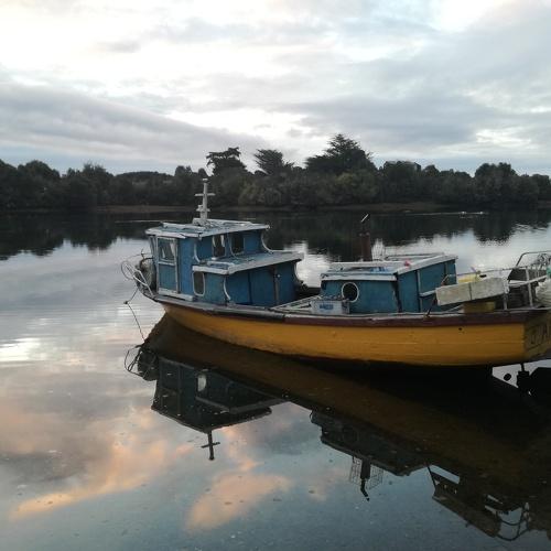 Photo #4963991