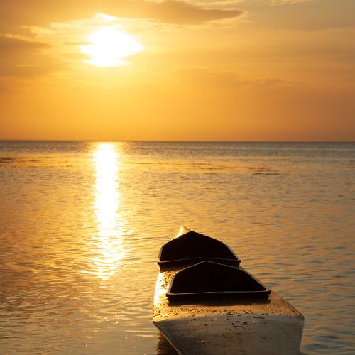 Photo #4964118