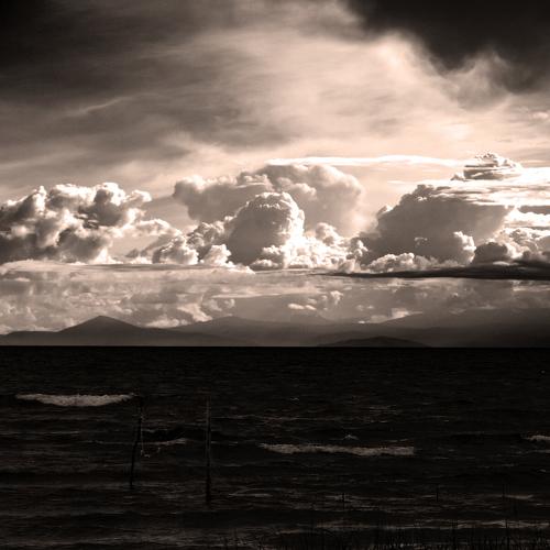 Photo #4964325