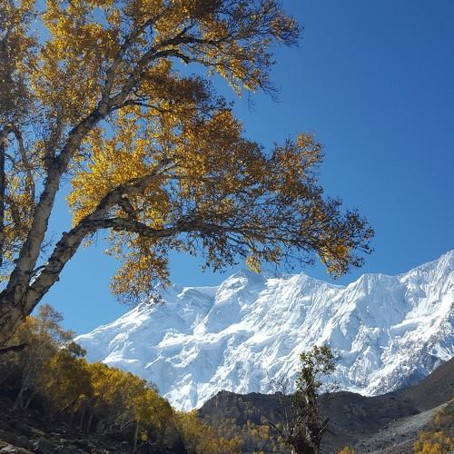 Photo #4964505