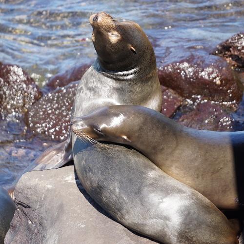 Photo #4964523
