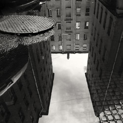 Photo #4964563