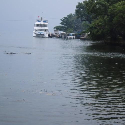 Photo #4964752