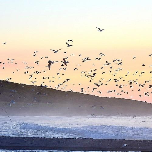 Photo #4964826