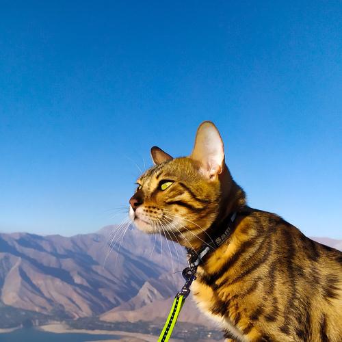 Photo #4965635