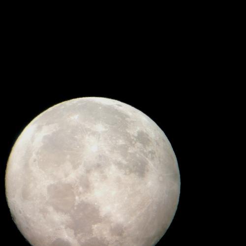 Photo #4965981