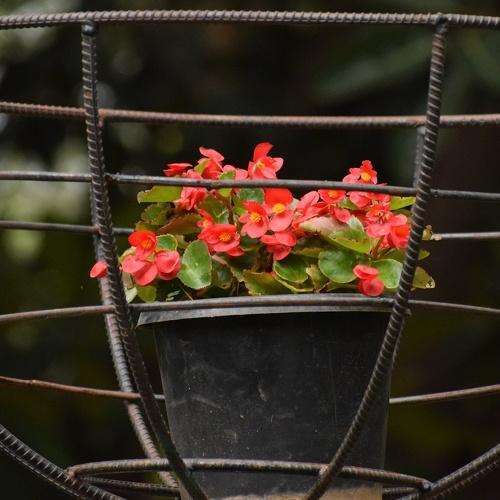Photo #4966093