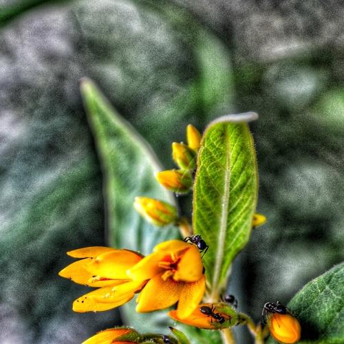 Photo #4966107