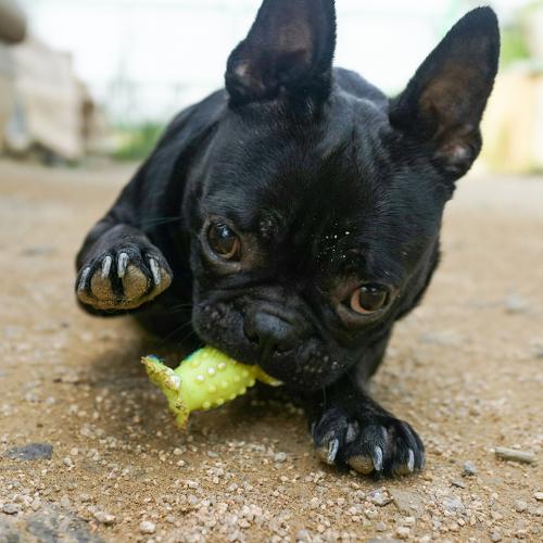 Photo #4966202