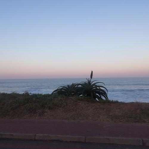 Photo #4966787