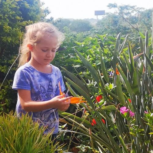 Photo #4966828