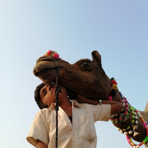 Photo #4966845