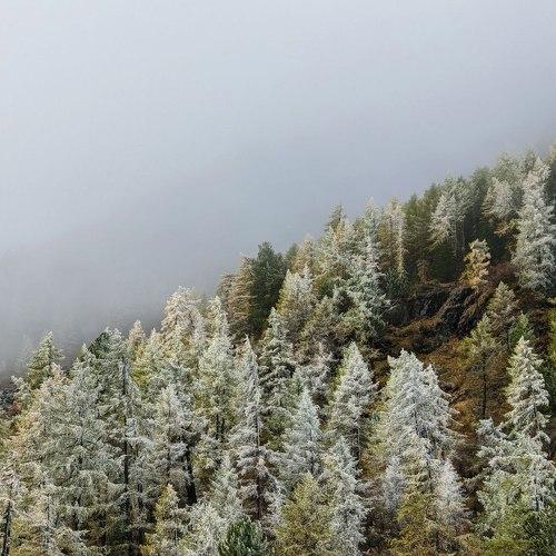 Photo #4967405