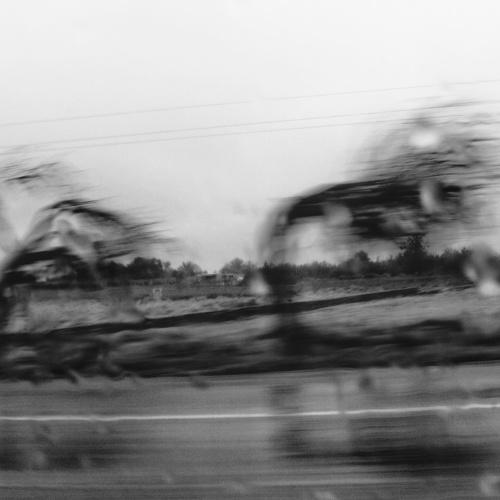 Photo #4967923