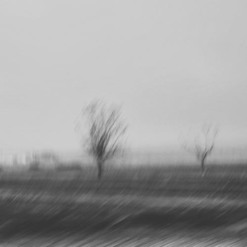 Photo #4967940