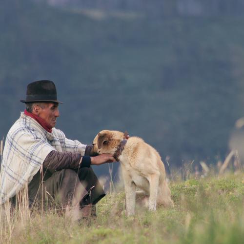 Photo #4967945