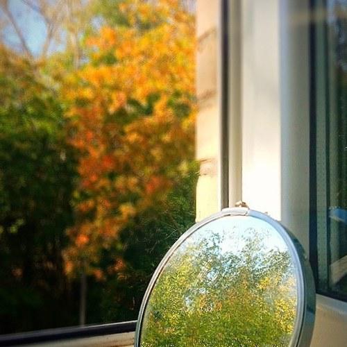 Photo #4968234