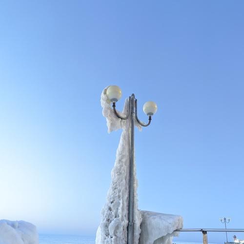 Photo #4968569