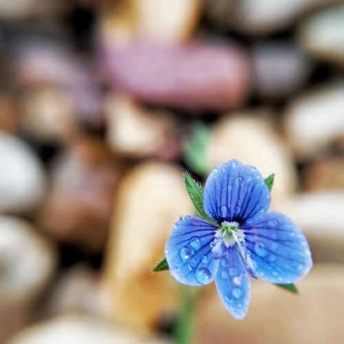 Photo #4968574