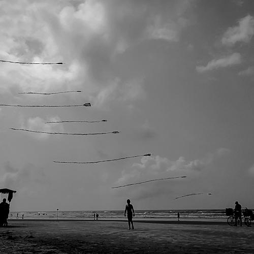 Photo #4968634