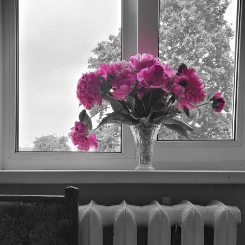 Photo #4968675