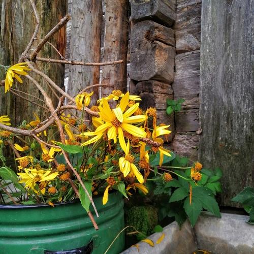 Photo #4968753