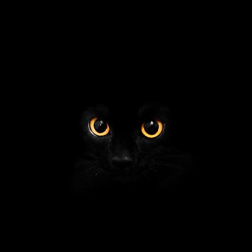 Glow in the dark