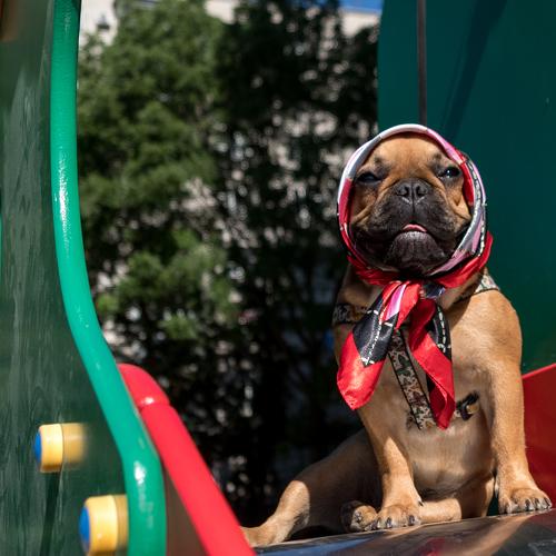 Photo #4968880