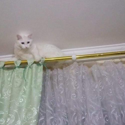 Photo #4969443