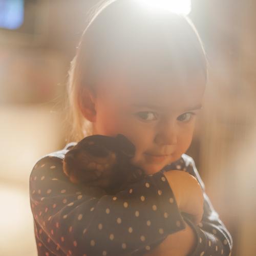 Photo #4969559