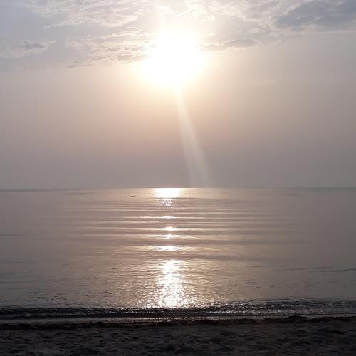Photo #4969640