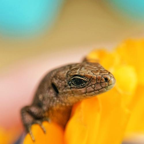 Photo #4969996