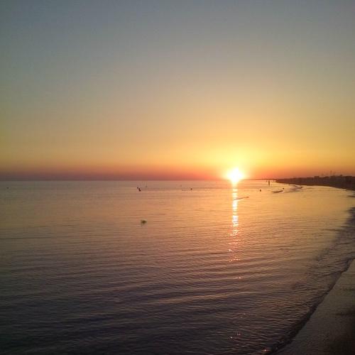 Photo #4970027