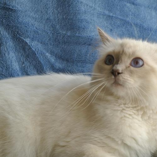 Photo #4970114