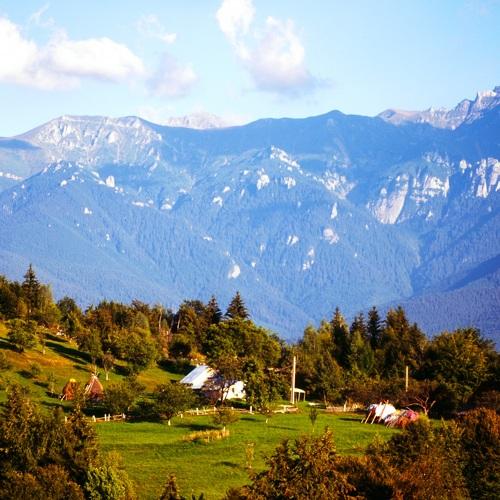 Photo #4970141