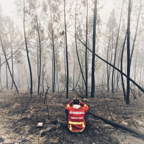 Firefighter