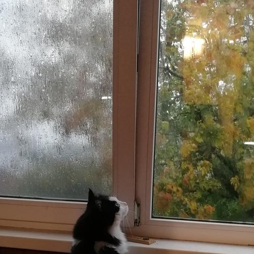 Photo #4970309