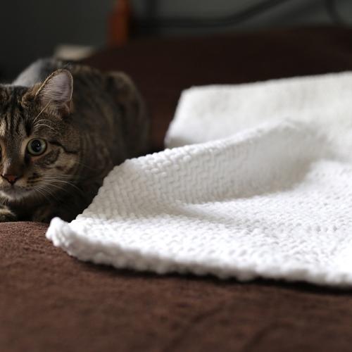 Photo #4970389
