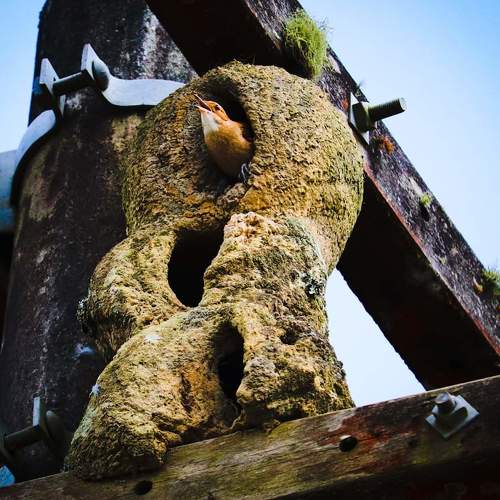 Photo #4970794