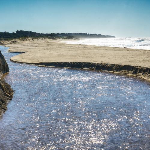 Photo #4971186